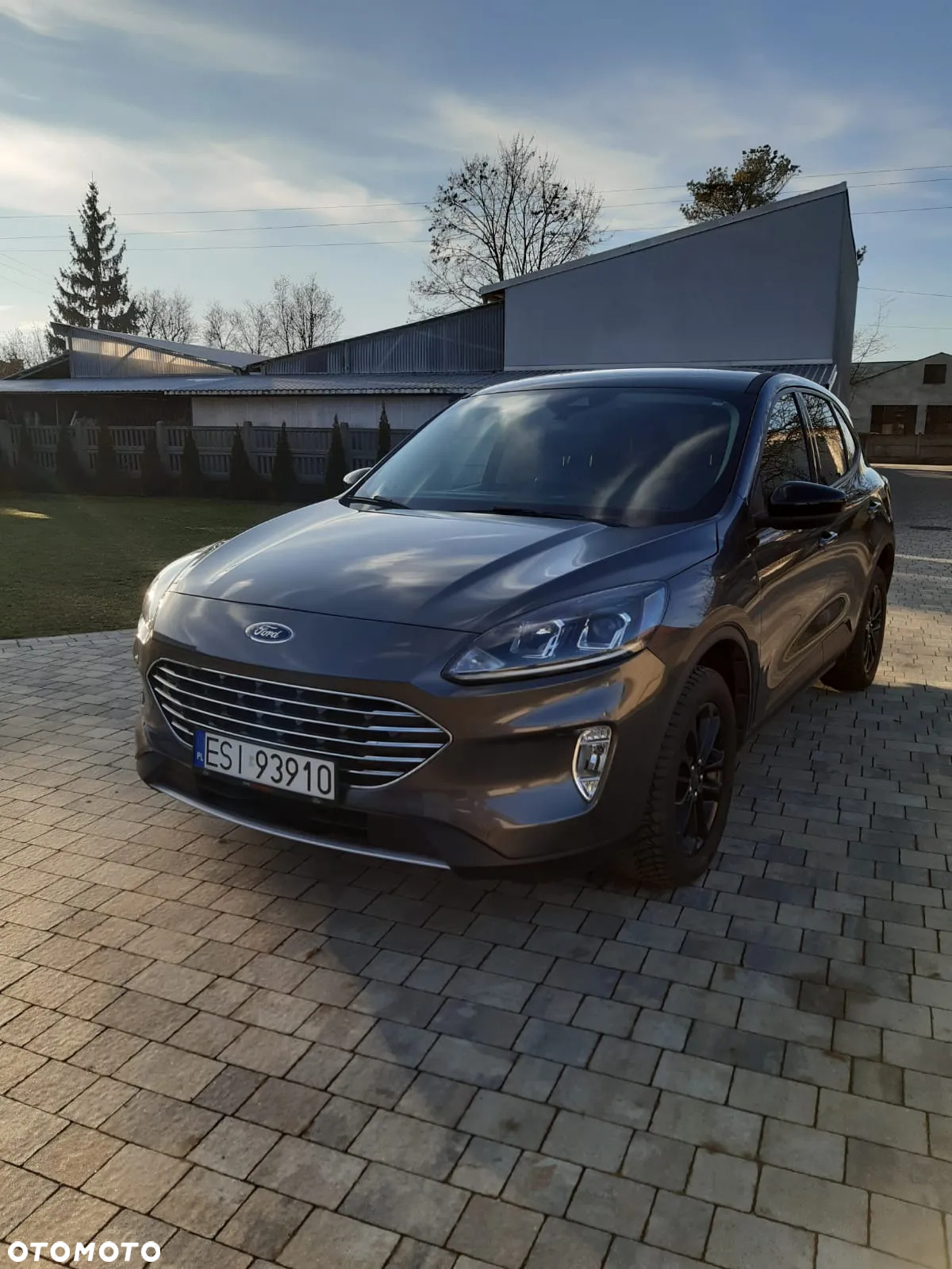 Ford Escape - 7
