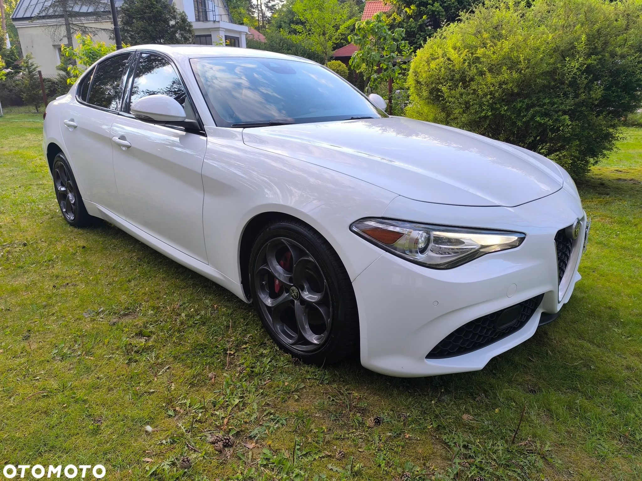 Alfa Romeo Giulia 2.0 Turbo TI Q4 - 3
