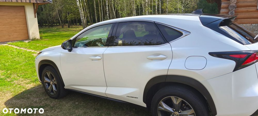 Lexus NX - 16