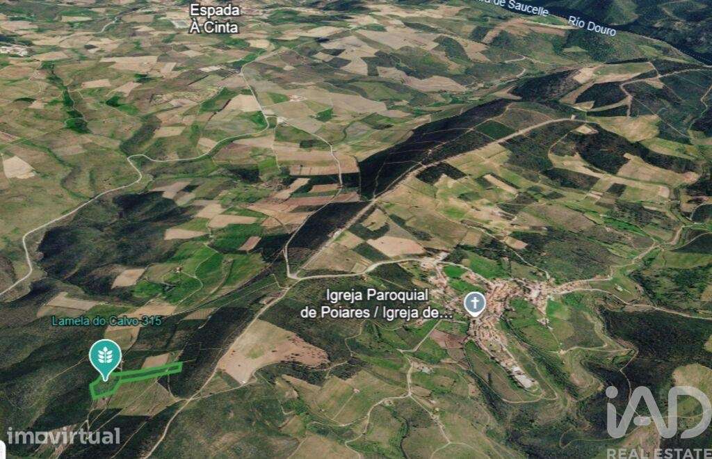 Terreno Agrícola em Poiares - Grande imagem: 4/27