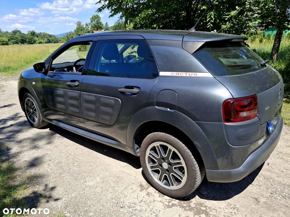 Citroën C4 Cactus 1.2 PureTech Shine - 10