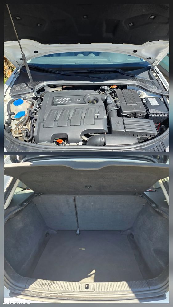 Audi A3 1.6 TDI ack DPF Attraction - 6