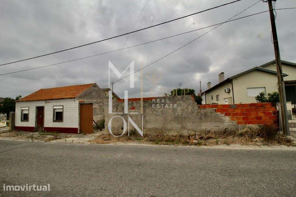 Moradia antiga, tipo T2, com 3730 m2 de terreno, na Gafanha Boa Hora ( - Grande imagem: 2/18