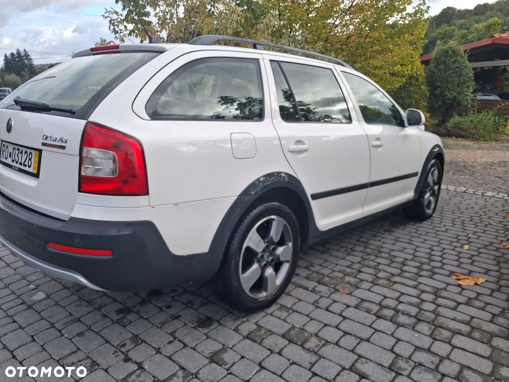 Skoda Octavia - 6