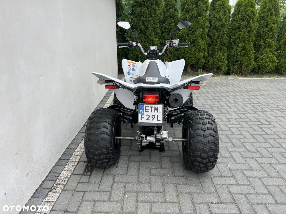 Yamaha Raptor - 8