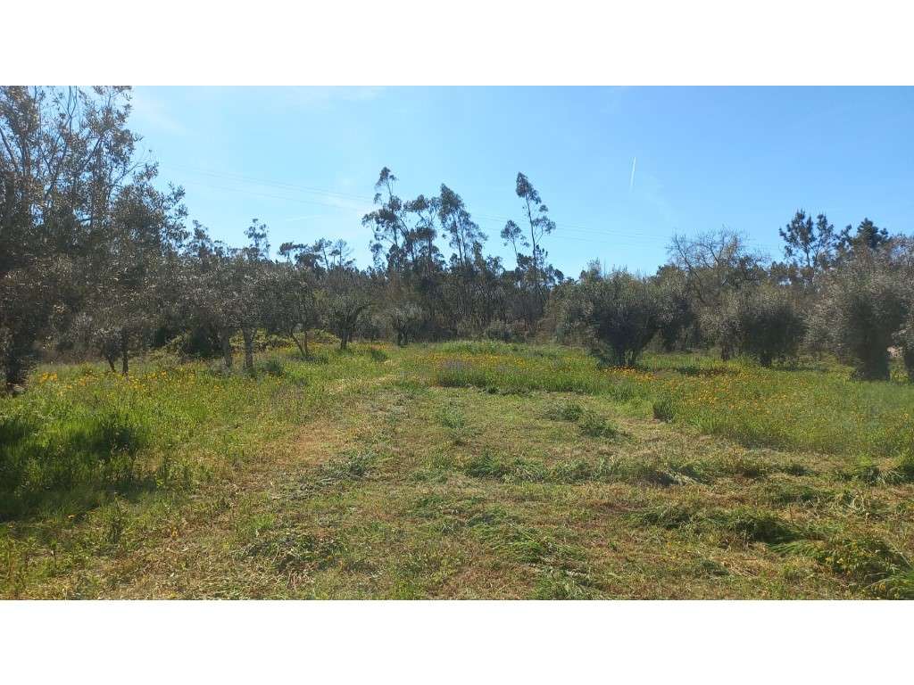 Terreno Rustico - Grande imagem: 2/10