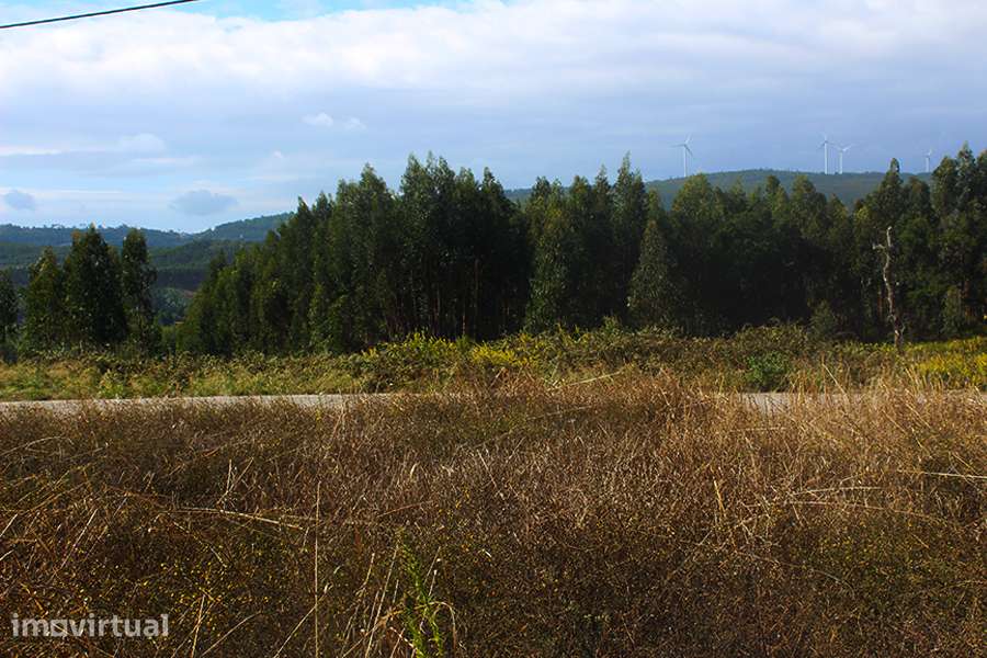 Terreno urbanizável, vista panorâmica, a 3 min. de Rio Maior, Cidral - Grande imagem: 5/9
