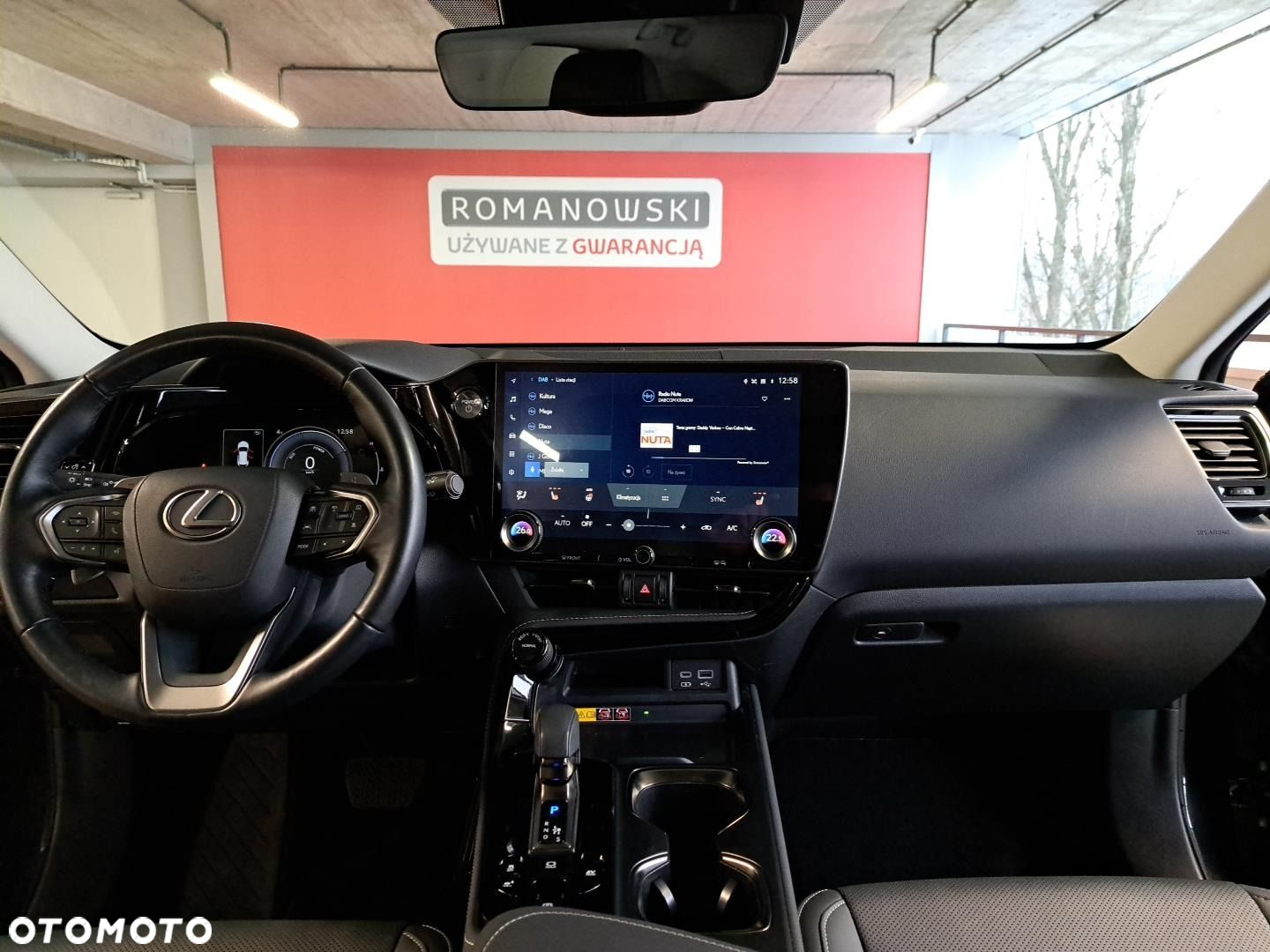 Lexus NX - 15
