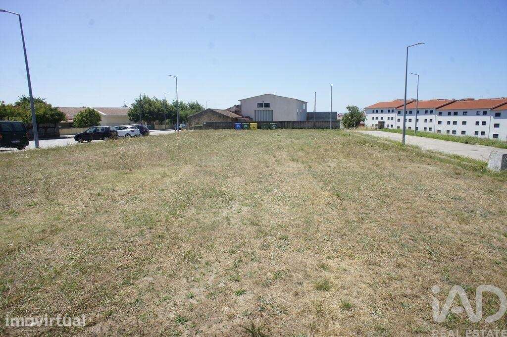 Terreno em Carrazedo de Montenegro e Curros de 301,00 m2 - Grande imagem: 4/5