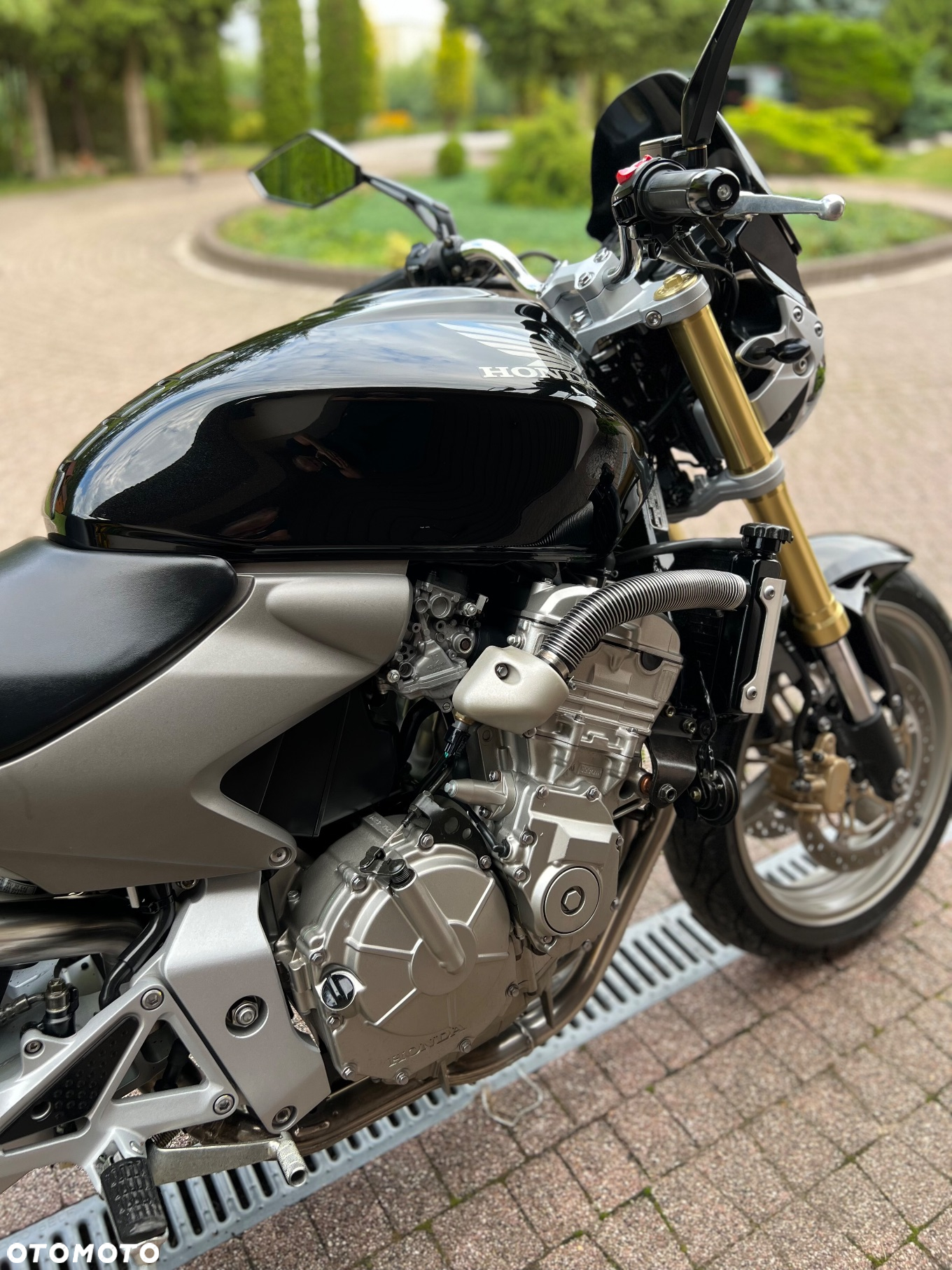 Honda Hornet - 6