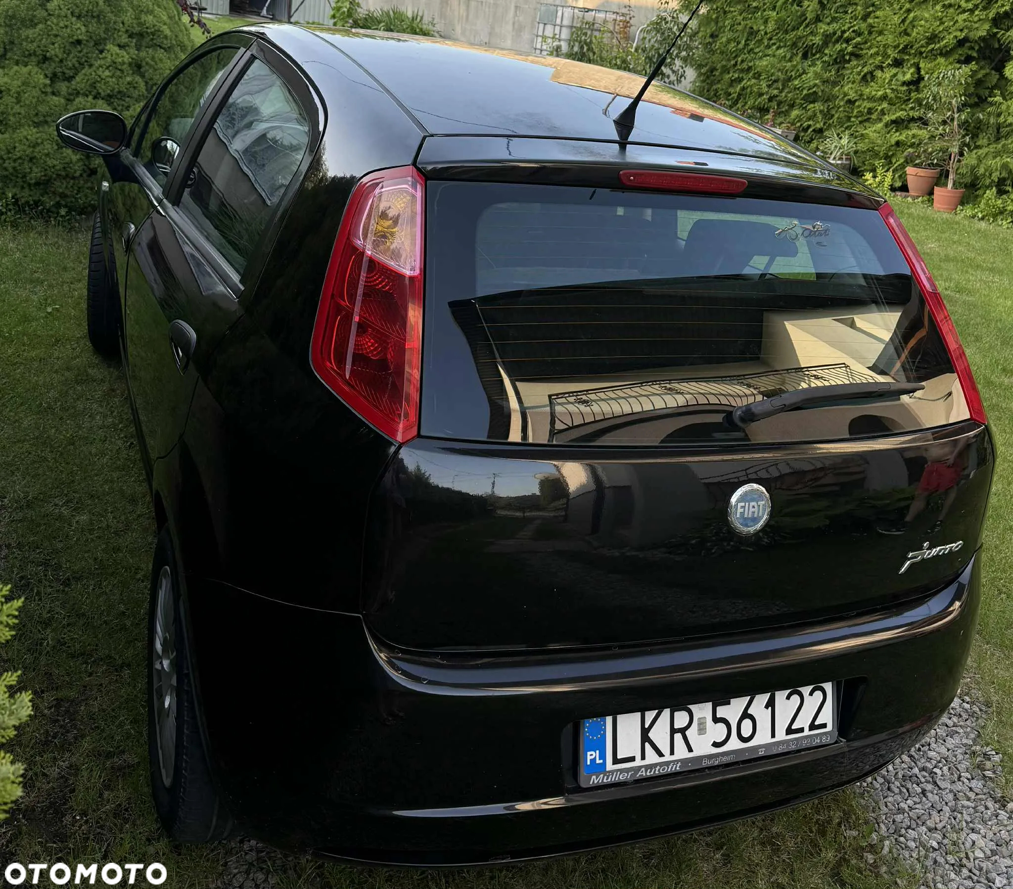 Fiat Punto - 3