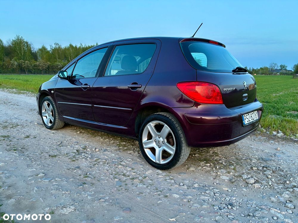 Peugeot 307 2.0 XT - 14