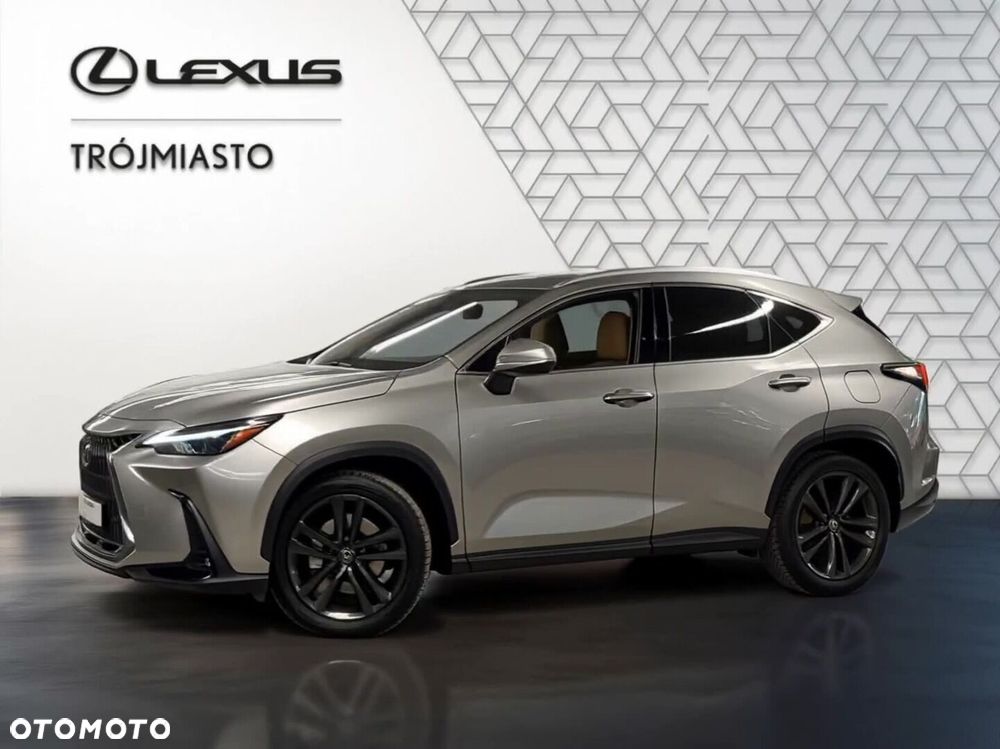 Lexus NX - 18