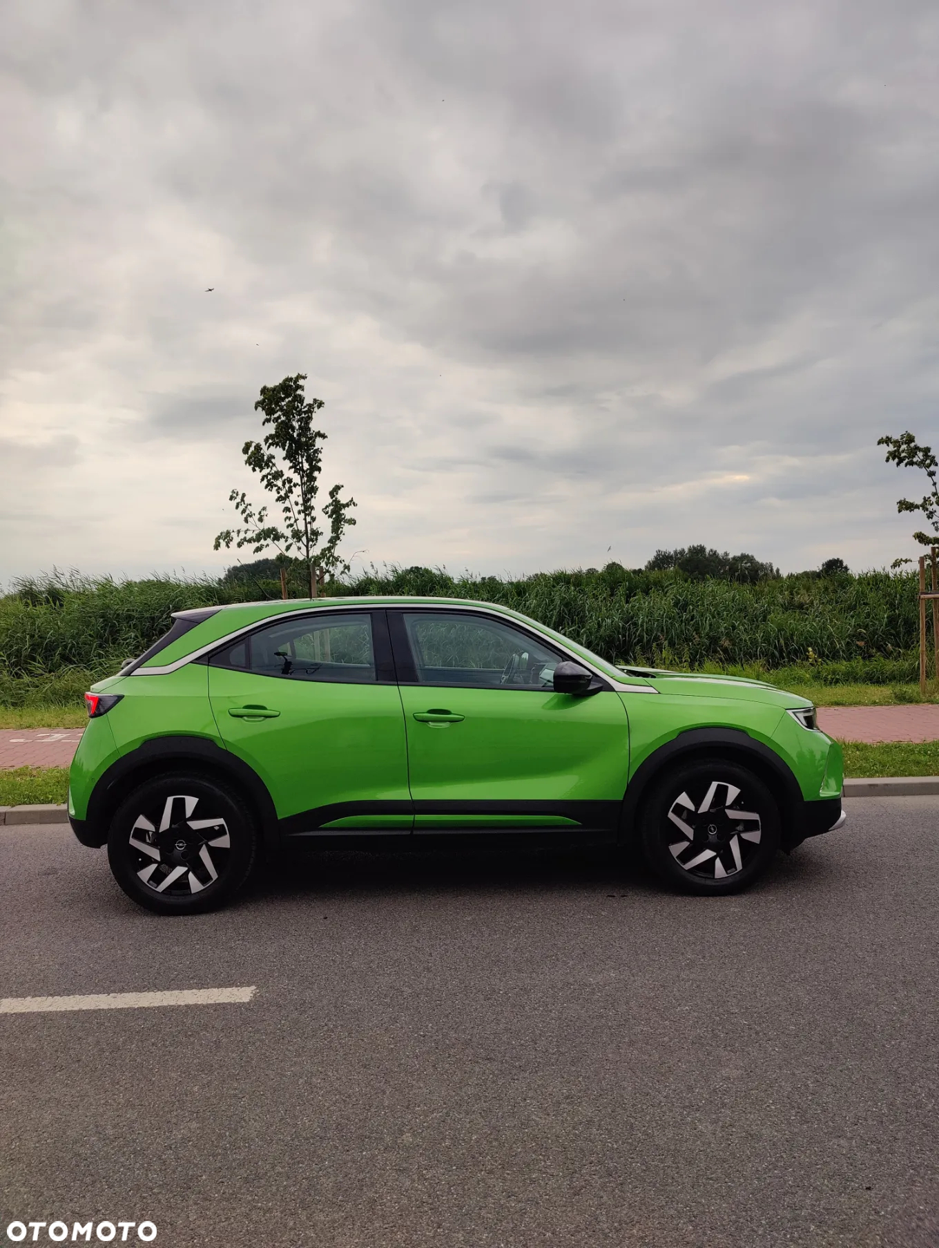 Opel Mokka Mokka-e 50kWh Elegance Business Pack - 5