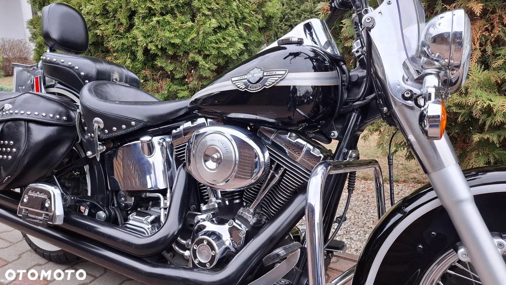 Harley-Davidson Softail Heritage Classic - 10