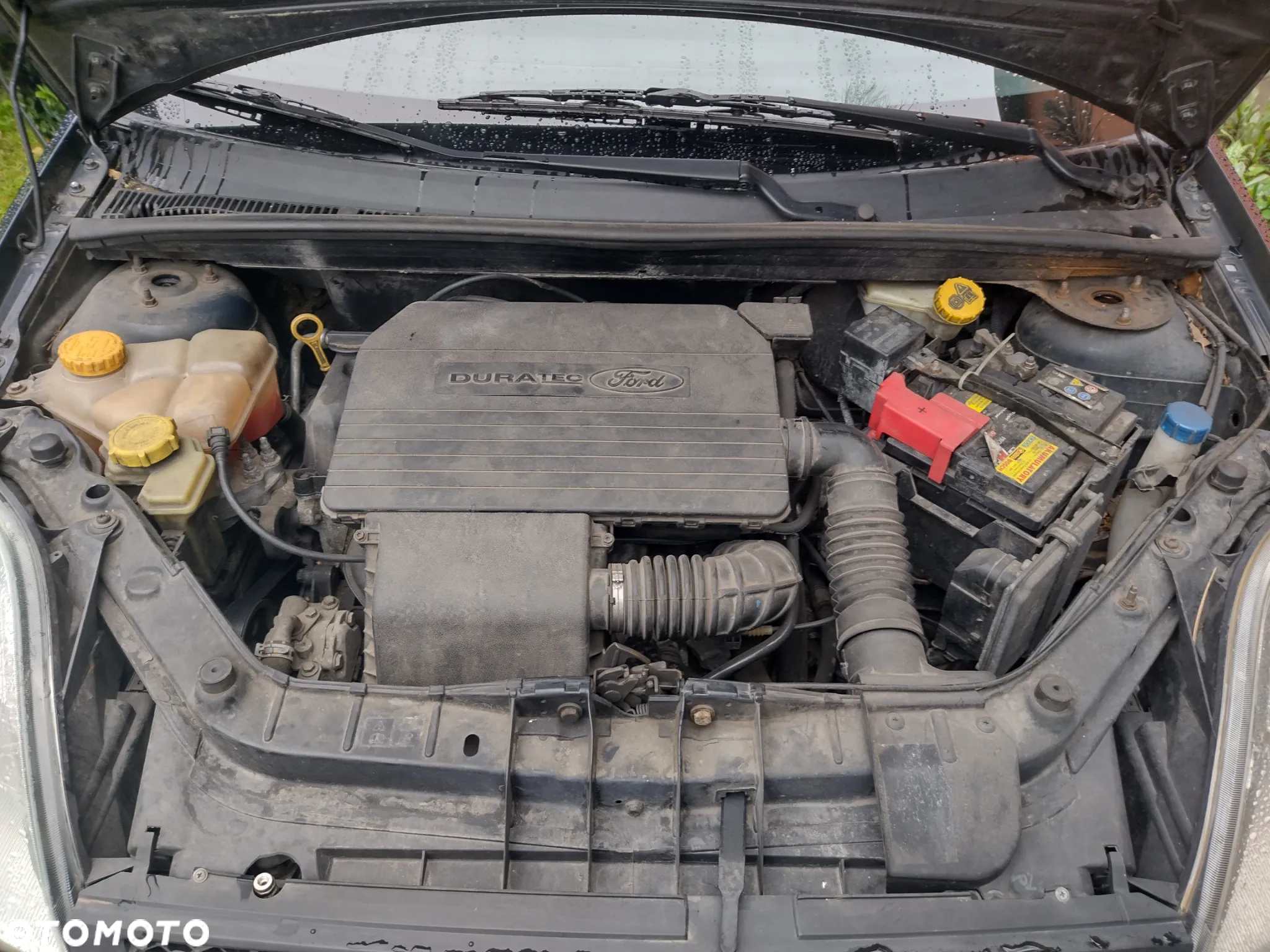 Ford Fiesta - 6