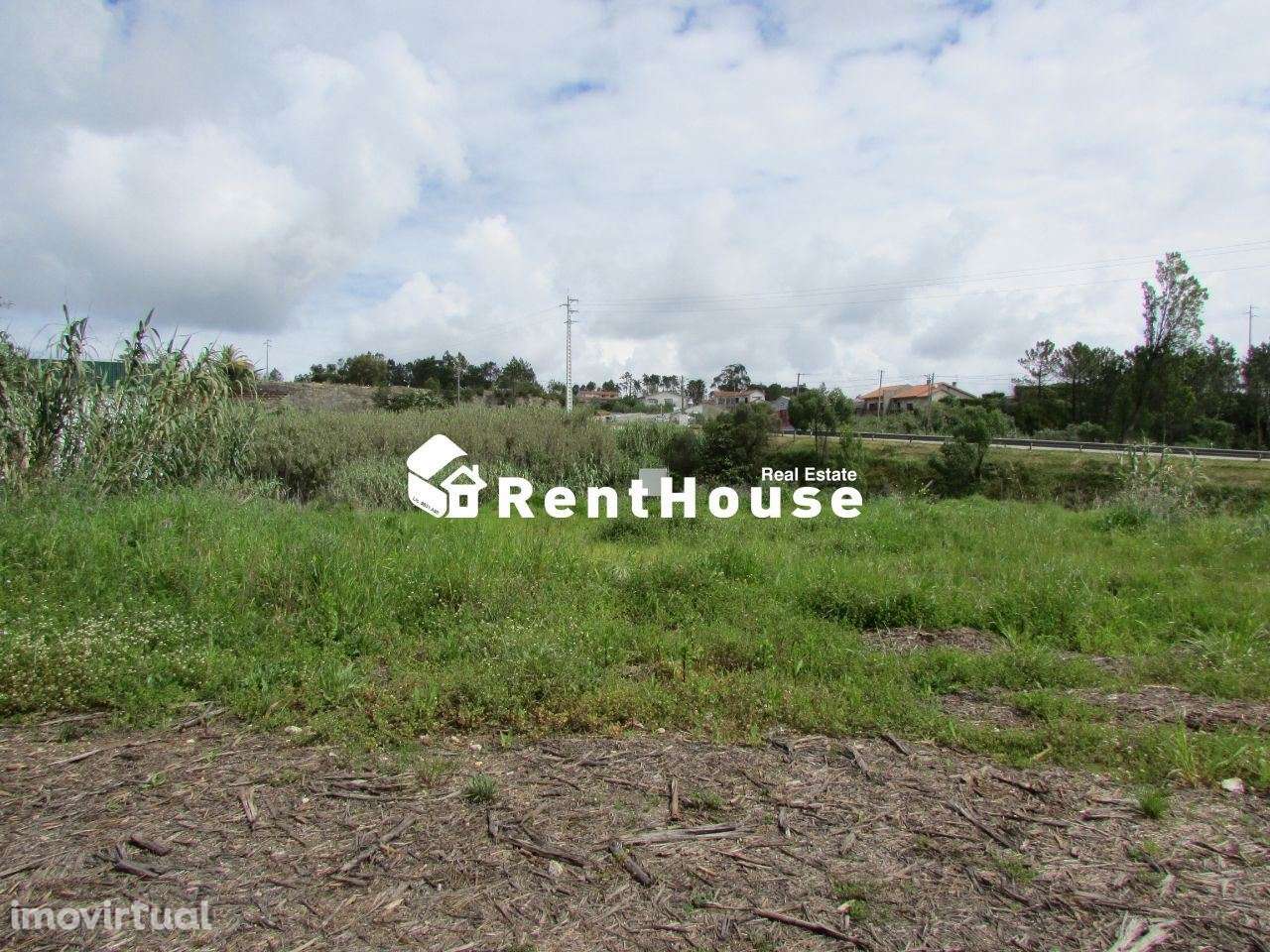 Terreno Industrial Junto à Nacional 109 - Grande imagem: 3/6