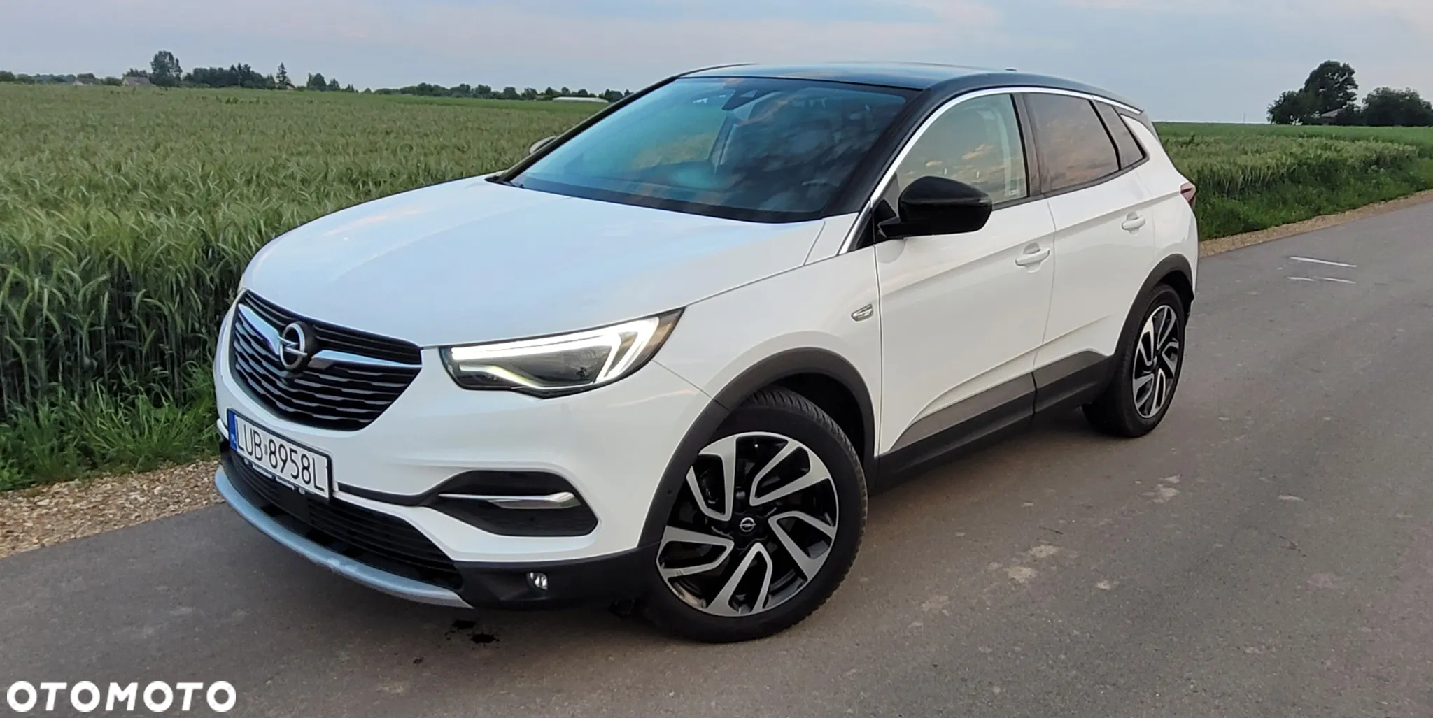 Opel Grandland X 2.0 D Start/Stop Automatik Ultimate - 3