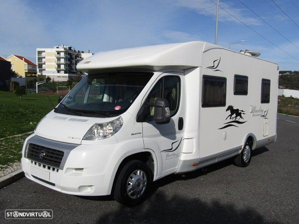 McLouis Yearling Série Limitada - 1