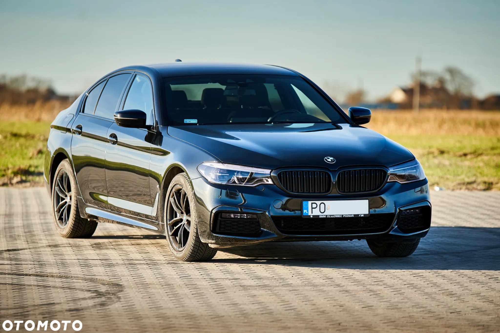 BMW Seria 5 530e iPerformance xDrive M Sport sport - 12