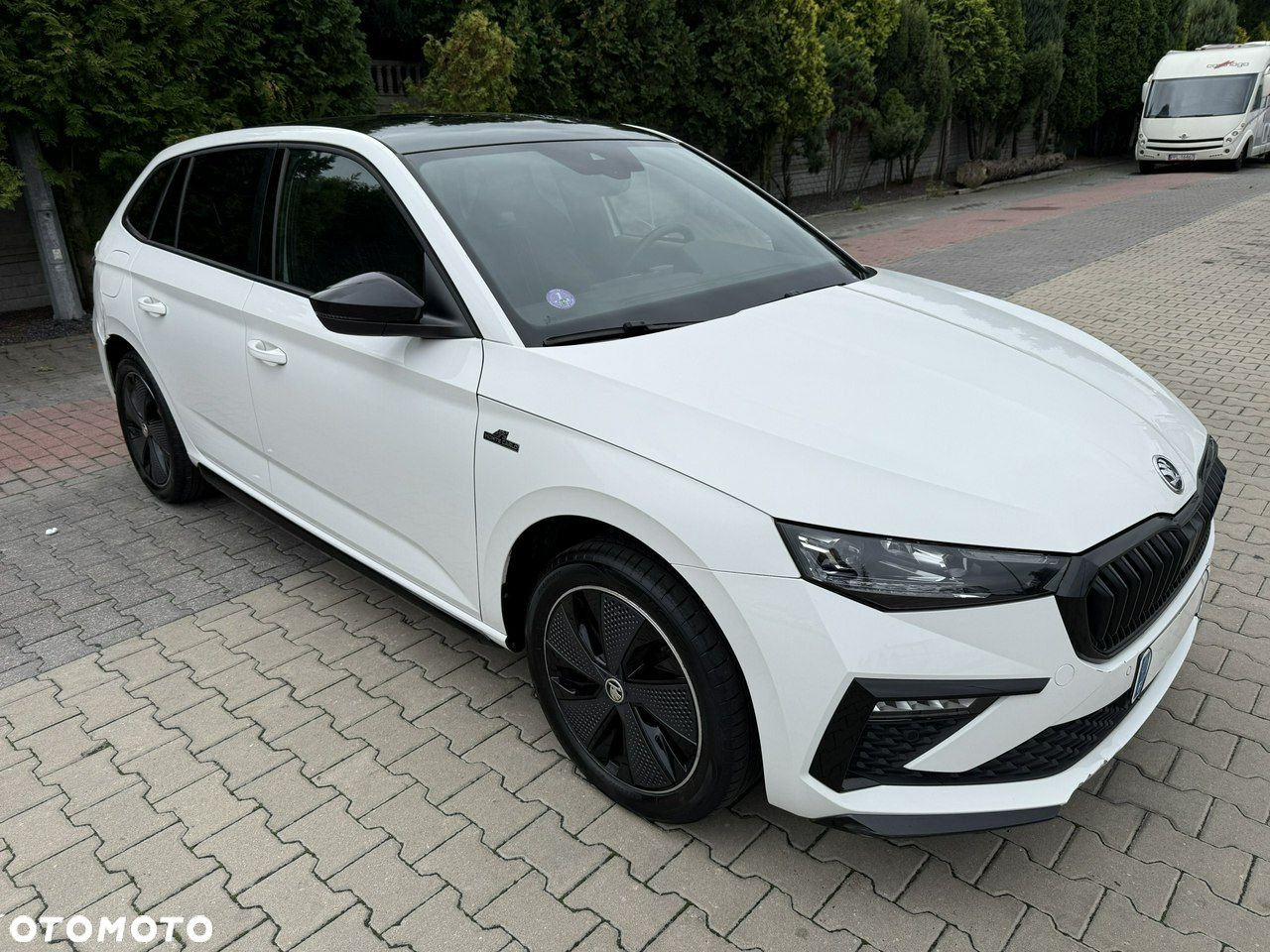 Skoda Scala - 2