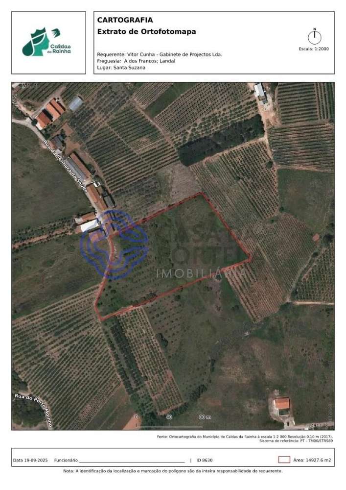 Terreno rústico para produção agrícola - Grande imagem: 5/5
