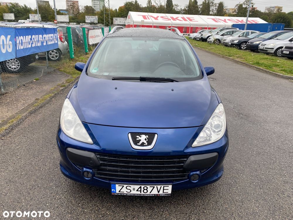 Peugeot 307 110 Grand Filou Cool - 8