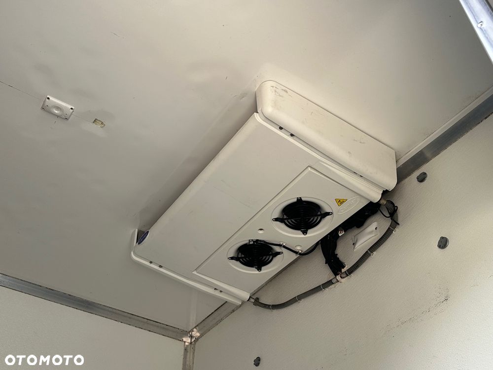 MAN TGL 12.190  Chłodnia + Winda 2020 r. - 14