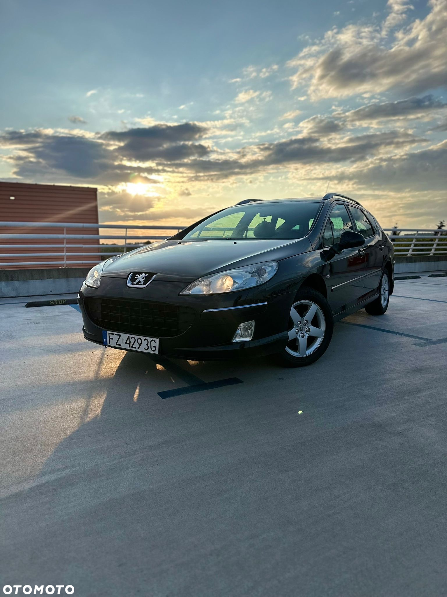 Peugeot 407 - 20
