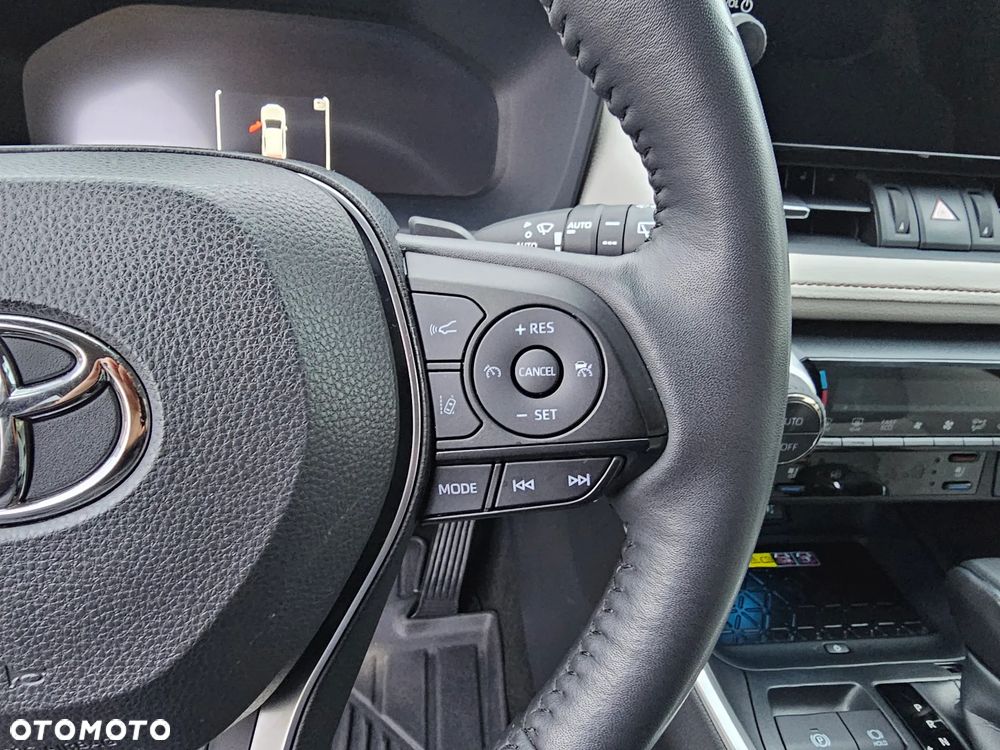 Toyota RAV4 2.5 Hybrid Executive 4x4 - 19