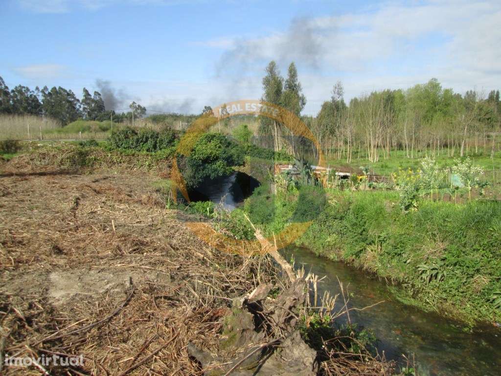 Terreno Rústico - São João de Ovar - Grande imagem: 4/9