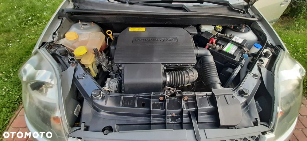 Ford Fiesta - 40
