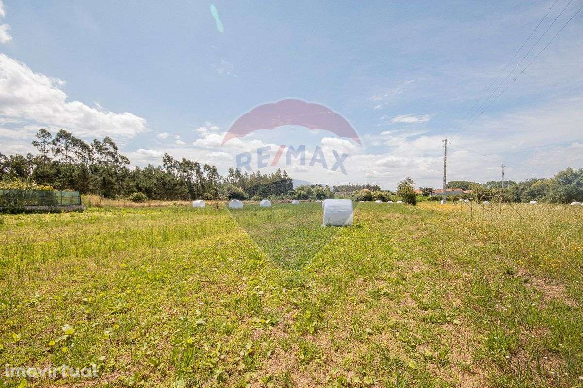 Terreno  para venda - Grande imagem: 5/18