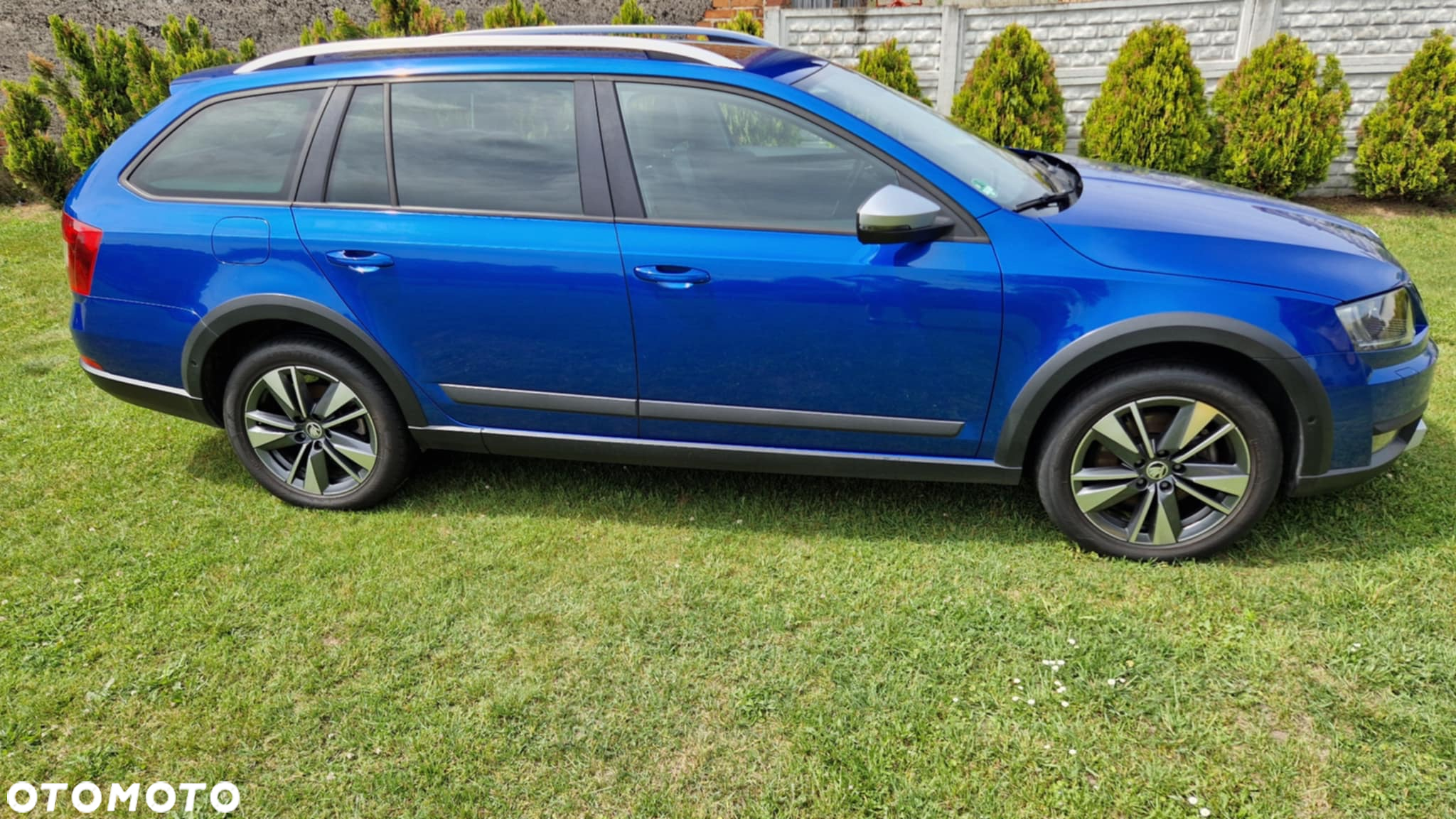 Skoda Octavia Scout 2.0 TDI 4x4 DSG - 2