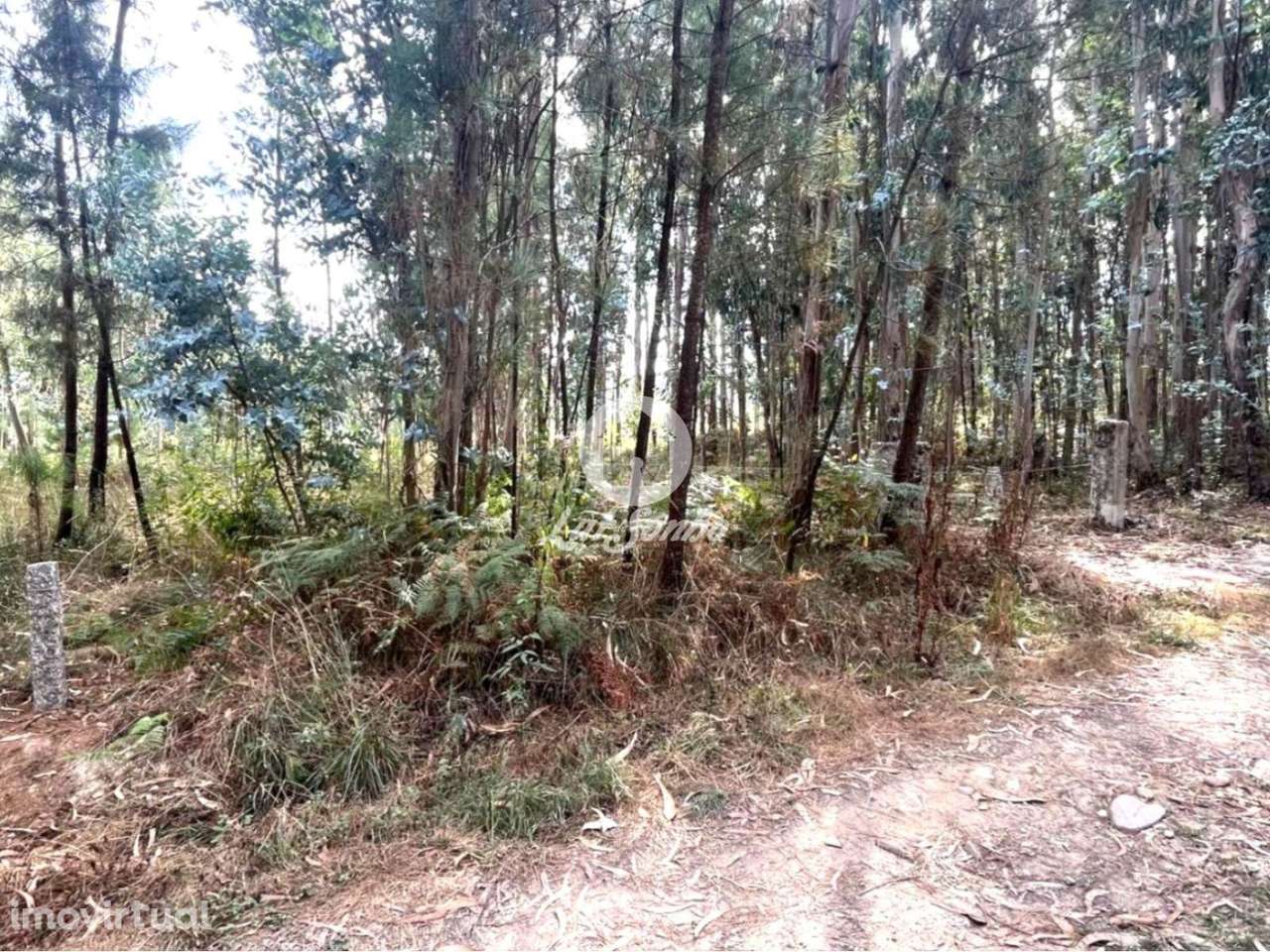 Terreno em Barcelos - Grande imagem: 5/22