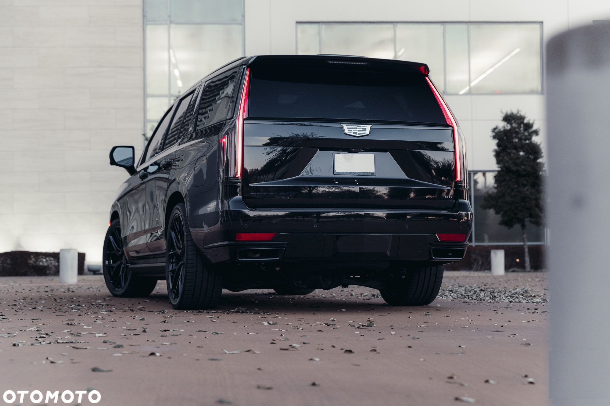 Cadillac Escalade - 16