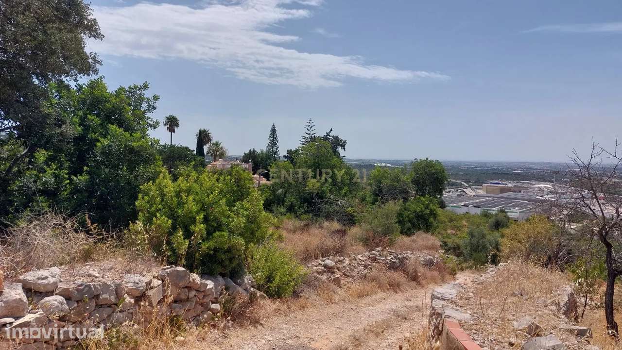 Terreno rústico com vista mar e panorâmica | 2.200 m² - Grande imagem: 5/10