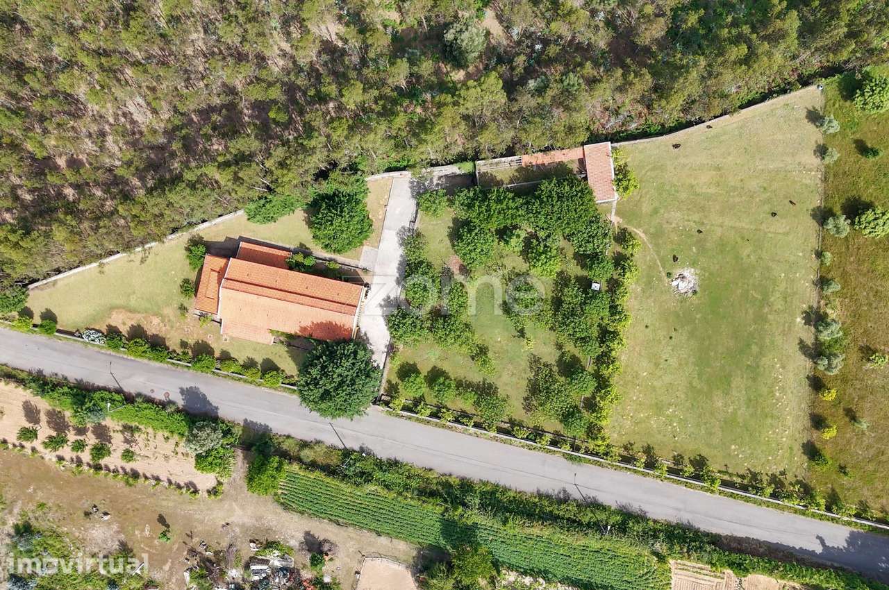 Quinta agropecuária em Canedo, Santa Maria da Feira — 21.860 m² - Grande imagem: 5/39