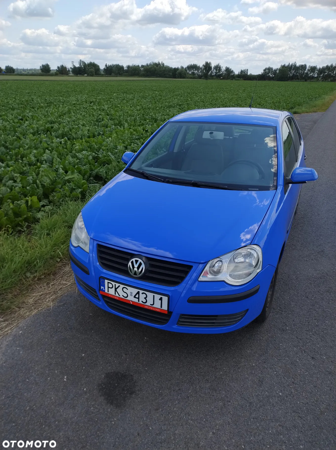 Volkswagen Polo - 9
