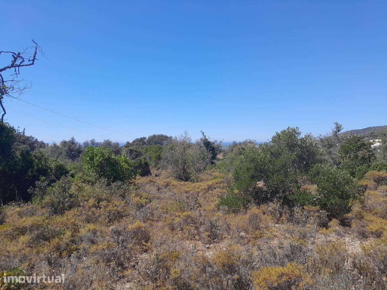 Terrenos Venda Sta Bárbara Nexe C/ Vista Mar - Grande imagem: 5/11