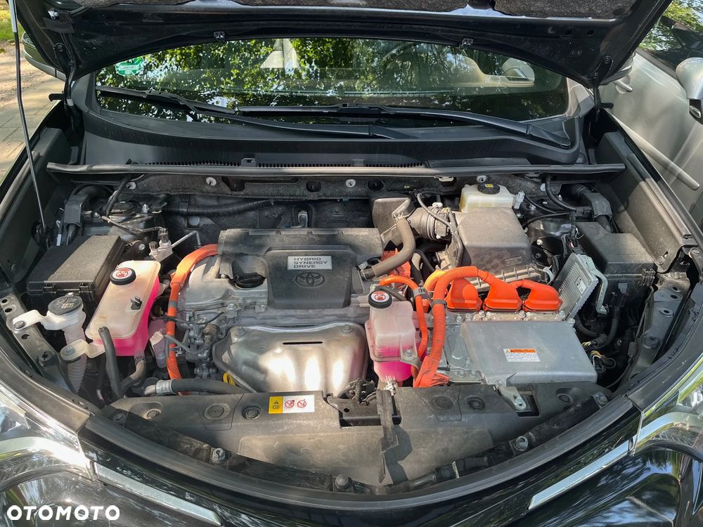 Toyota RAV4 Hybrid Platinum 4x4 - 22