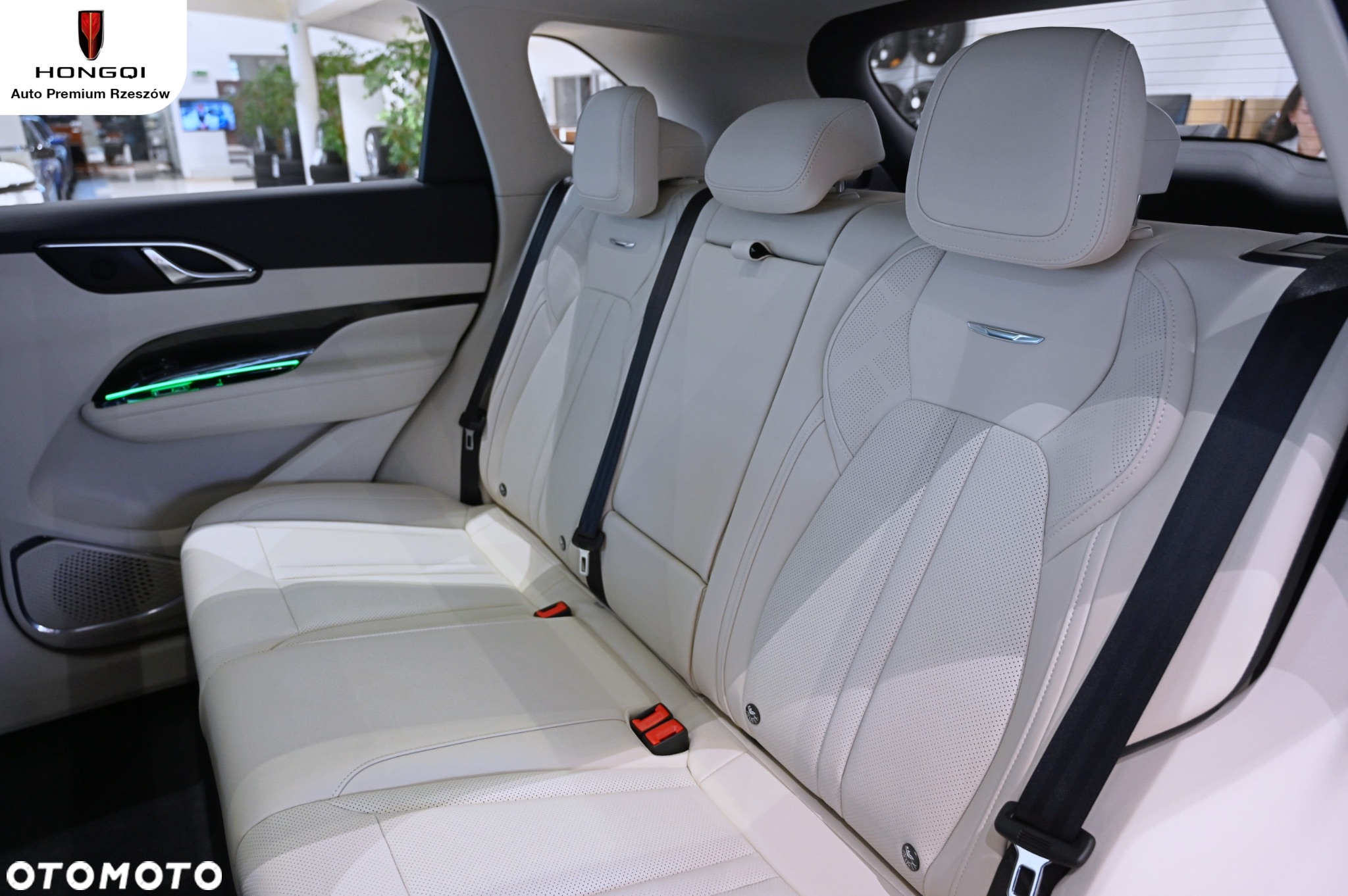 Hongqi HS3 - 19
