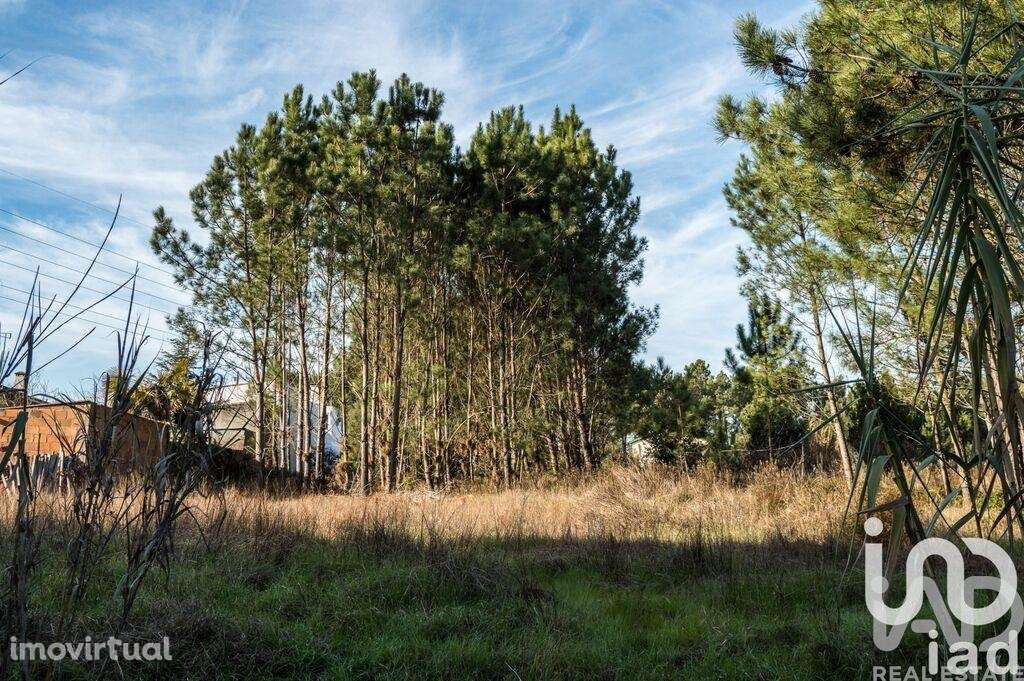 Terreno em Marinha Grande - Grande imagem: 3/3