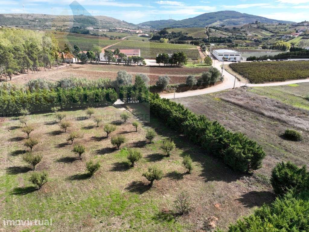 Terreno urbano no Turcifal Torres Vedras! - Grande imagem: 5/7