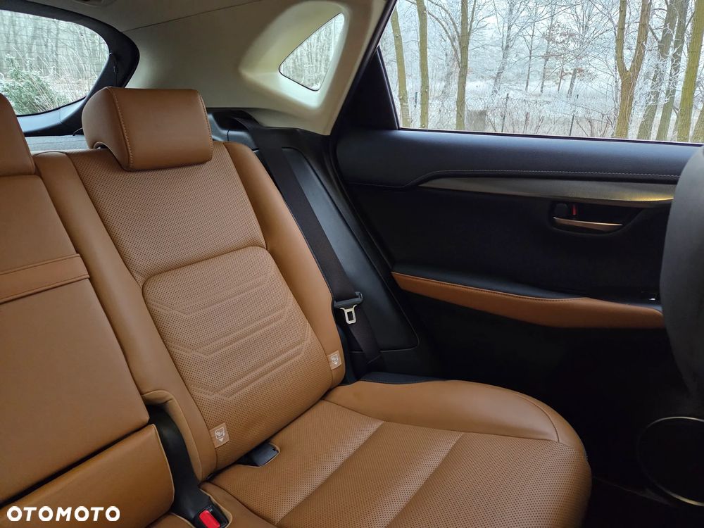 Lexus NX 300 Comfort AWD - 13