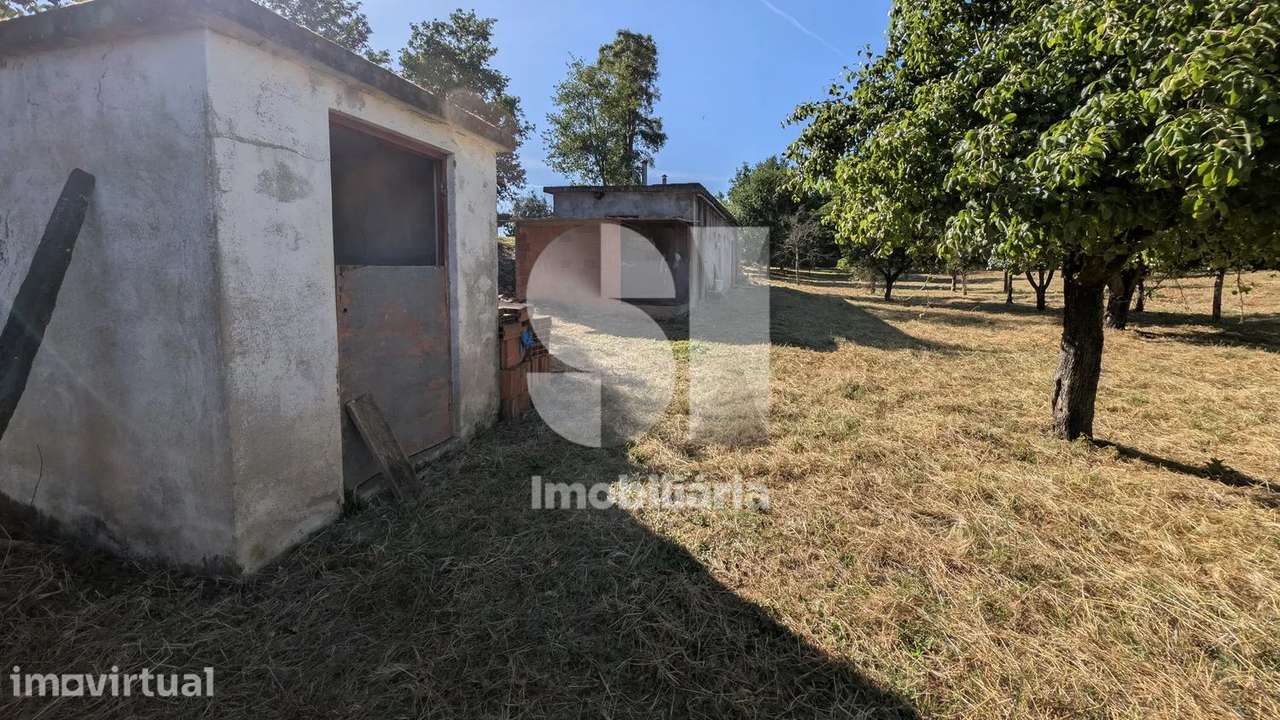Terreno a ser transformado em Quinta - Grande imagem: 4/11