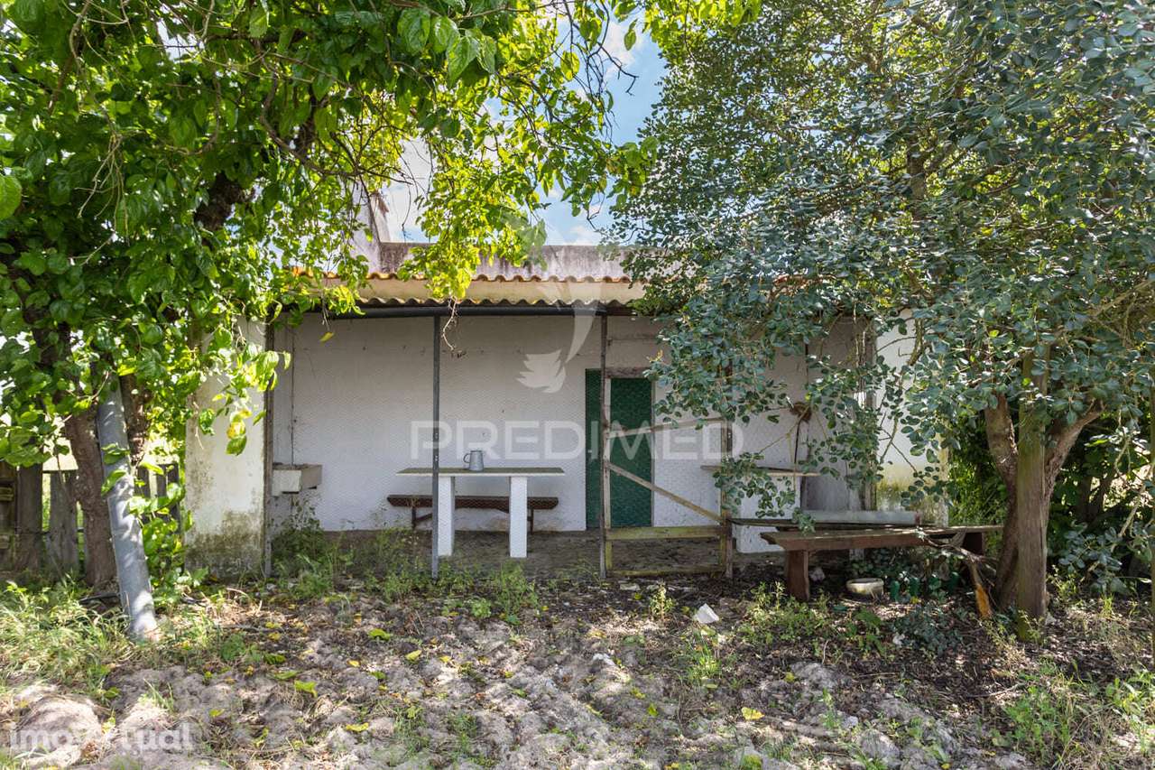 EXCELENTE PROPRIEDADE C/ CASA DE HABITAÇÃO - Grande imagem: 2/40