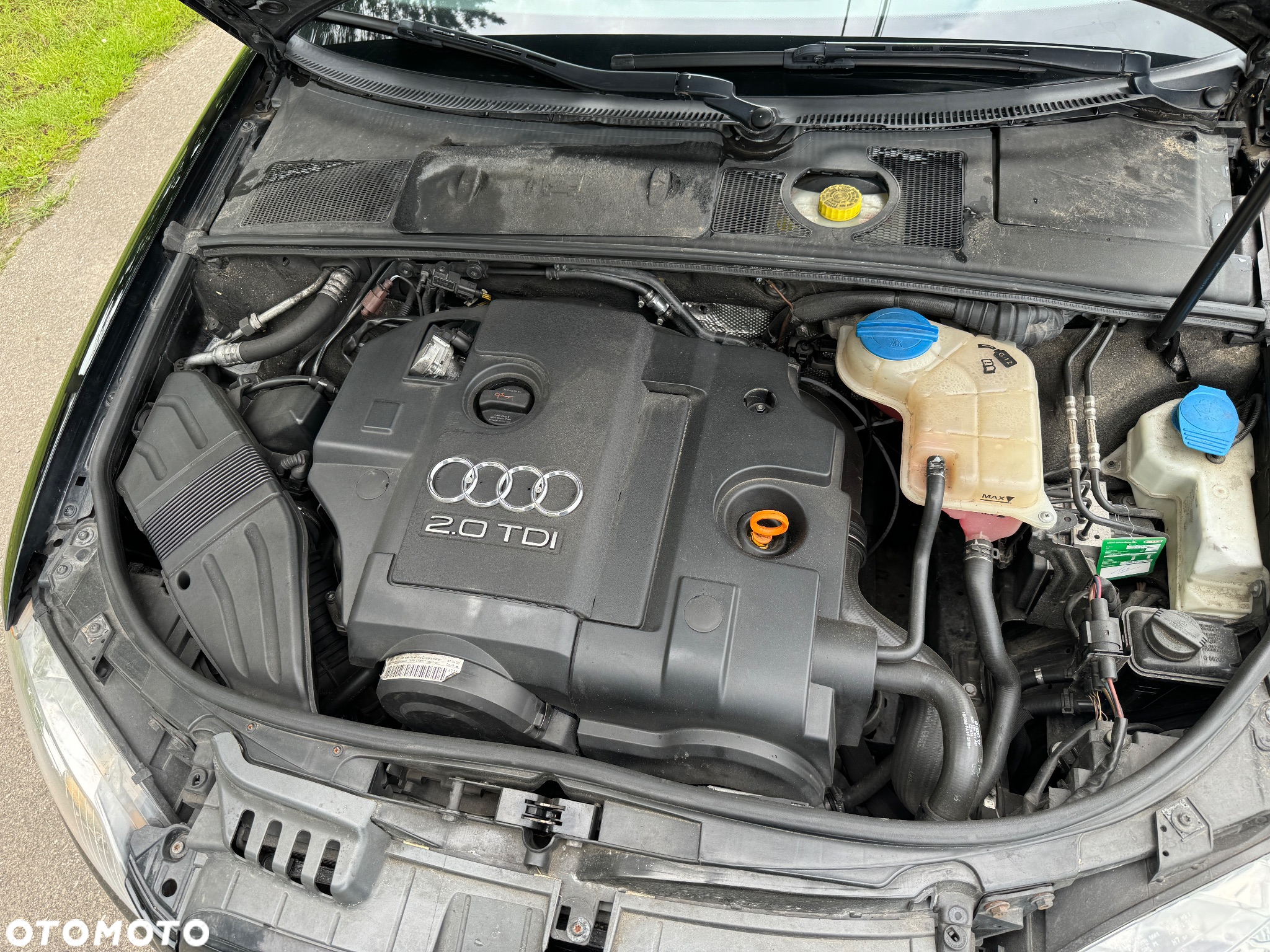 Audi A4 - 23