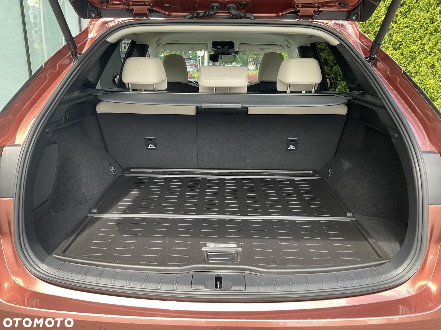 Lexus RX - 31