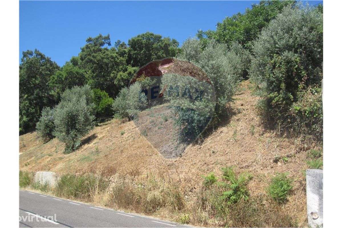 Terreno T0 para venda - Grande imagem: 5/7